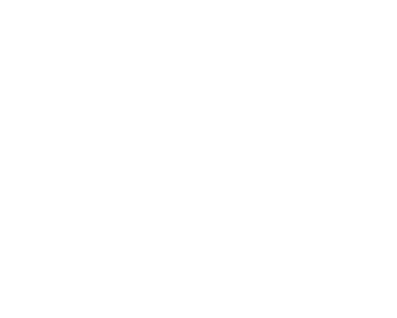 PAIG GROUP